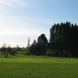 Neuschwanstein  Picture 145.jpg